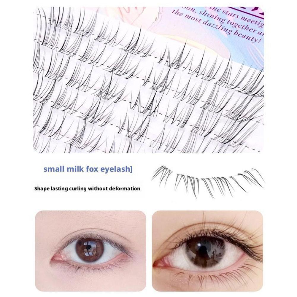 Pestañas de girasol, pestañas  - Eyelash Extension Douyin reseña y precio